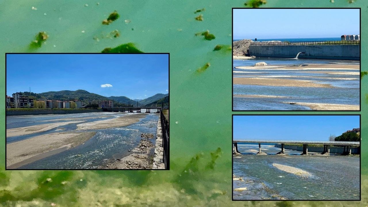 Kastamonu Abana'da Ezine Deresi'nden yayilan kotu koku ve kanalizasyon kirliligi halki isyan ettirdi. Vatandaslar sagli…