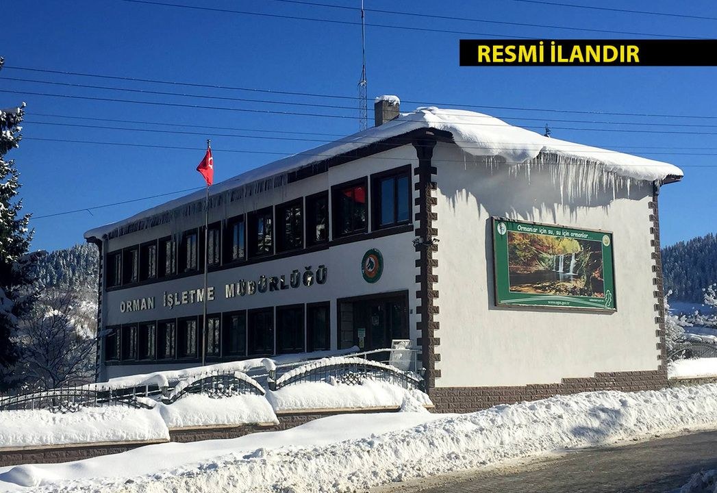 Kastamonu Küre Orman İşletme Müdürlüğü, 45 bin metreküp orman emvali istifleme hizmeti için ihale açtı. Detaylar ve baş…