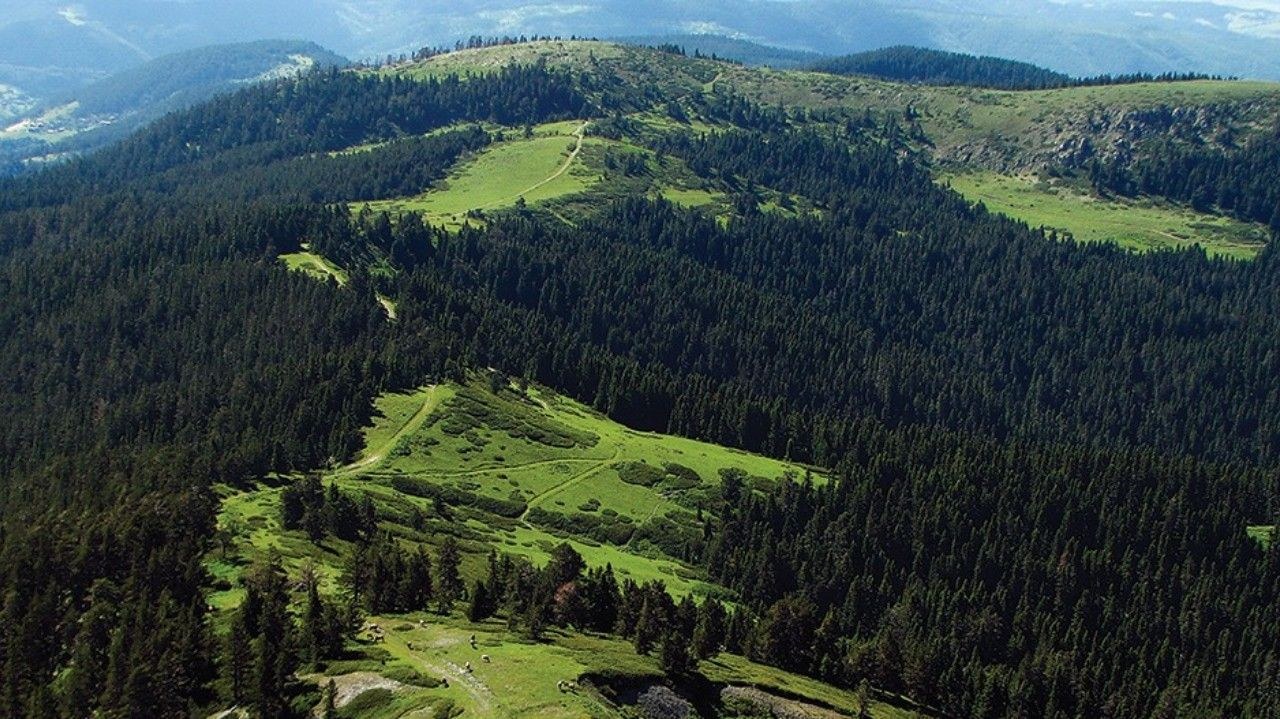 Kastamonu, yuzolcumuyle orantili yuzde 66 orman varligiyla Turkiye'nin en yesil illeri arasinda 3. sirada yer alarak do…