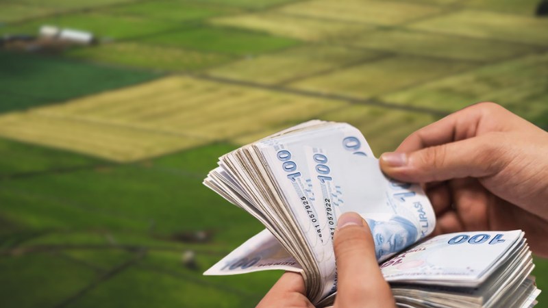 Kastamonu'da Kırsal Kalkınmaya Yeni Soluk: Yıllık Yüksek Kazançlı Ürünler