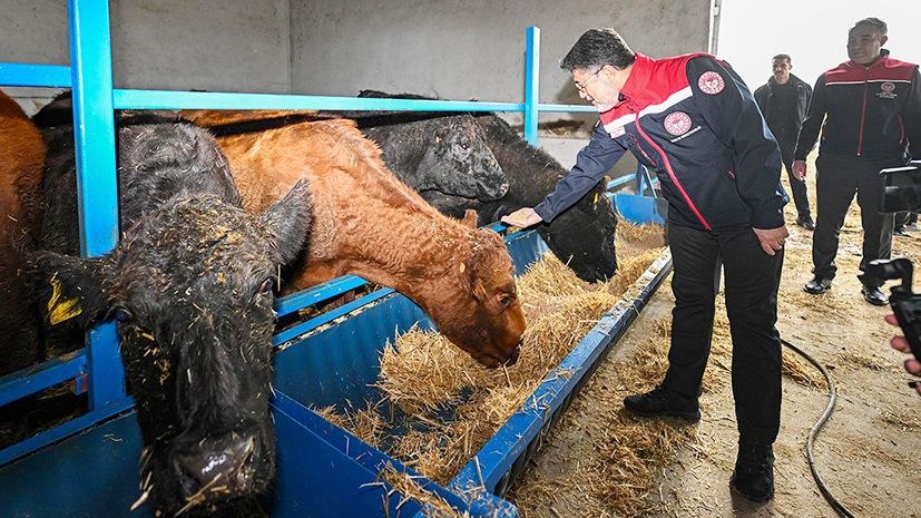 Kastamonu'dan Bakana Teşekkür: Üreticinin Kurbanlık Yükü Azaldı