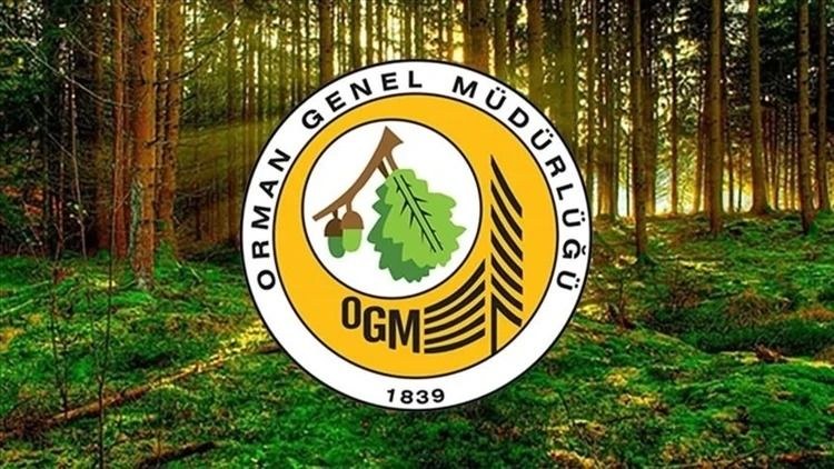 Kastamonu'da Orman Genel Müdürlüğü (OGM), yangın sezonu öncesi personel alımı hazırlığında. Bu adım, orman yangınlarıyl…