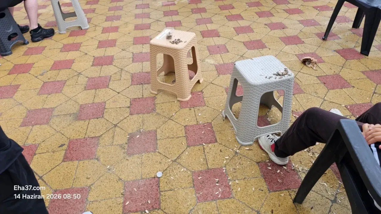 Kastamonu Cide'de Milli Maç Coşkusu Sonrası Çevre Kirliliği Tepkisi