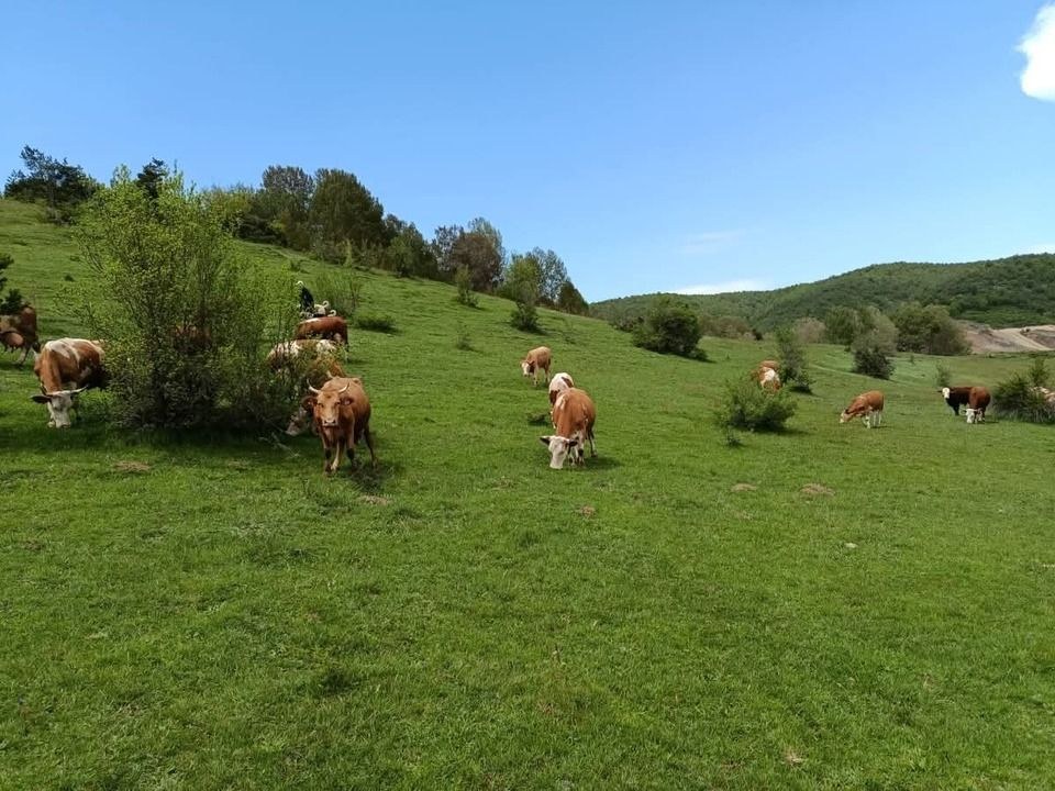Kastamonu Mera Alanları İncelendi: Üreticilere Bilgi Verildi